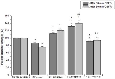 Rat Pial Microvascular Changes During Cerebral Blood Flow Decrease and Recovery: Effects of Cyanidin Administration